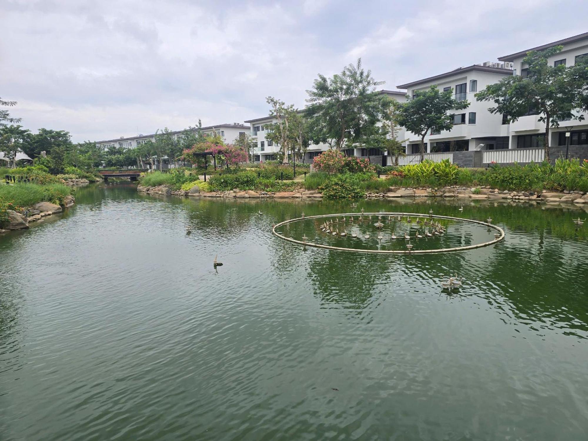 Zozo House - Homestay Bai Sau Vũng Tàu Ngoại thất bức ảnh